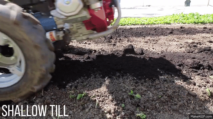 BCS Precision Depth Roller