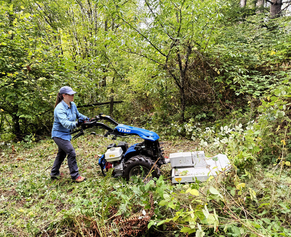 BCS Model 779 (PS) Hydrostatic