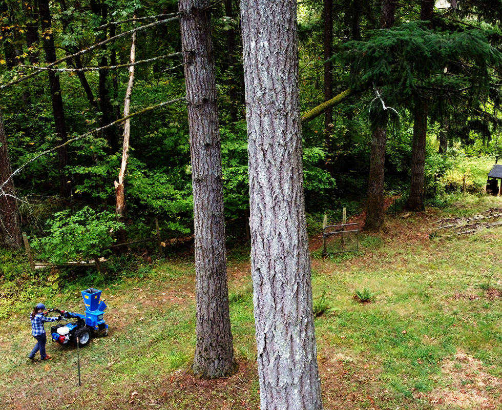 BCS Chipper/Shredder