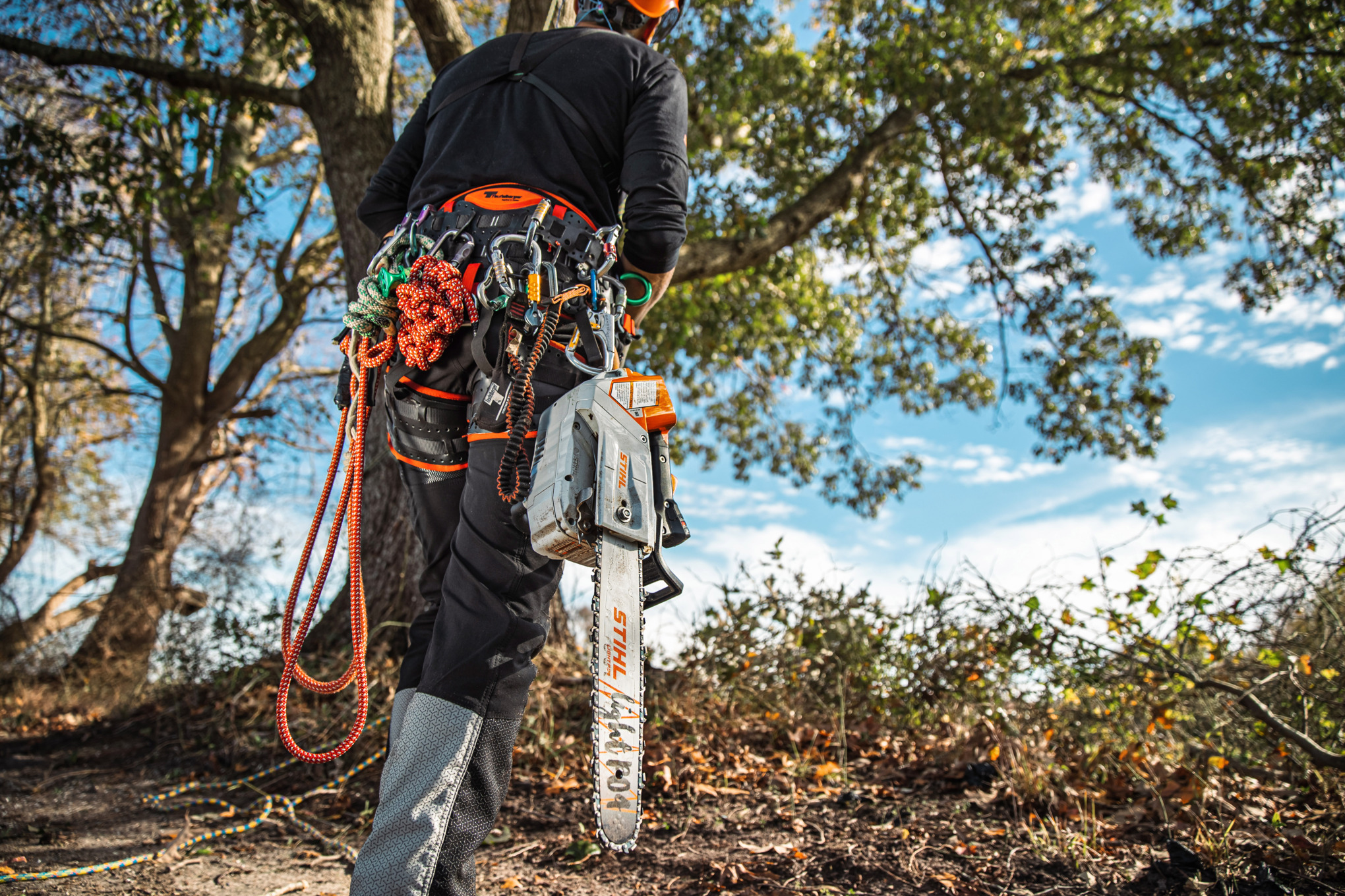 STIHL MSA 220 TC-O Battery Powered Chainsaw